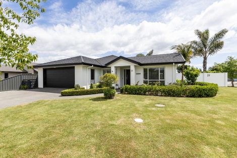 Photo of property in 19 Lochhead Street, Mahora, Hastings, 4120