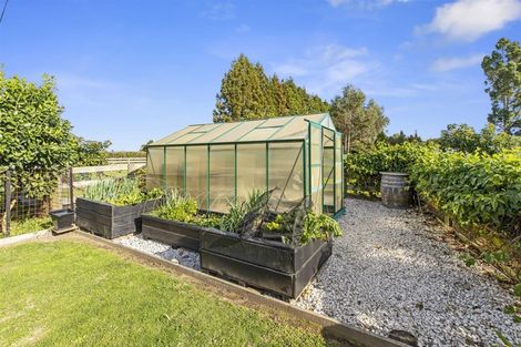 Photo of property in 728 No 1 Road, Te Puke, 3182