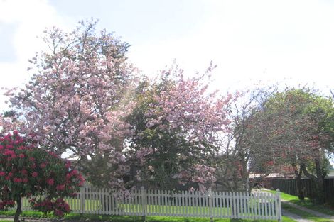 Photo of property in 46 Lynmore Avenue, Lynmore, Rotorua, 3010