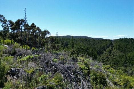 Photo of property in 2 Knight Ridge Road, Kawau Island, 0920