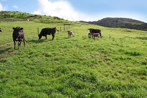 Photo of property in 353a Brown Road, Hakaru, Kaiwaka, 0573