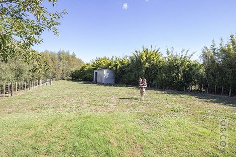 Photo of property in 231 Waitakere Road, Taupaki, Henderson, 0782