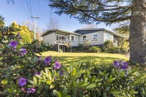 Photo of property in 176 West Street, Feilding, 4702