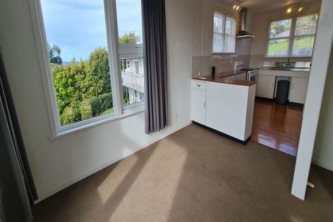 Photo of property in 44 Exmouth Road, Northcote, Auckland, 0627