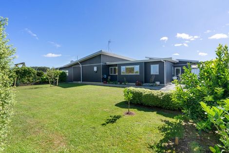 Photo of property in 21 Okarito Avenue, Levin, 5510