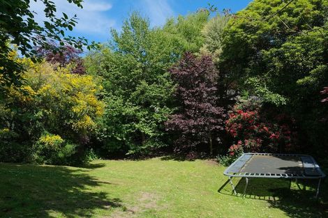 Photo of property in 29 Lynwood Avenue, Maori Hill, Dunedin, 9010