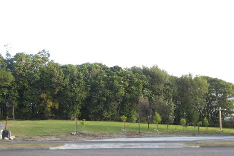 Photo of property in 55 Te Waaka Terrace, Kuratau, Turangi, 3381