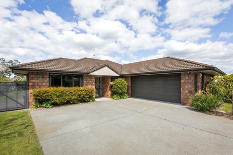 Photo of property in 51 Wills Road, Katikati, 3129