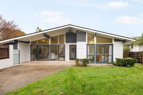 Photo of property in 45 Glamis Avenue, Dinsdale, Hamilton, 3204