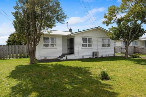 Photo of property in 21 Cornwall Street, Levin, 5510
