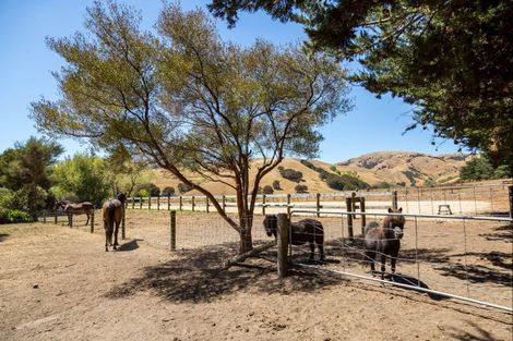 Photo of property in 752 Ponatahi Road, Martinborough, Carterton, 5792