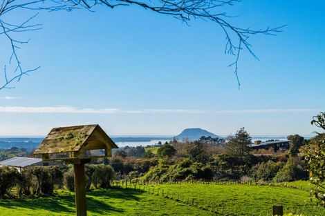 Photo of property in 533 Wainui Road South, Whakamarama, Tauranga, 3180