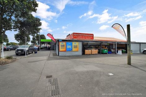 Photo of property in 8e Heath Street, Mount Maunganui, 3116