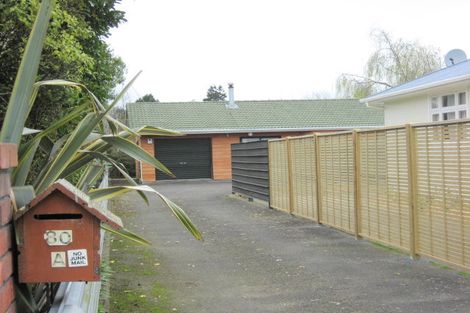 Photo of property in 80a Parker Avenue, Levin, 5510