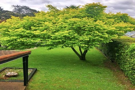 Photo of property in 23-25 Bernard Magnus Lane, Greenhithe, Auckland, 0632
