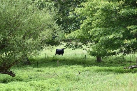 Photo of property in 177 Tapps Road, Canvastown, Havelock, 7178