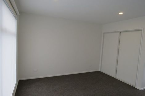 Photo of property in 100 Canon Street, St Albans, Christchurch, 8014