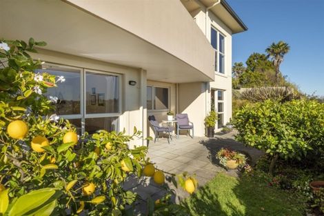 Photo of property in 1/29 Accadia Lane, Tauranga, 3110