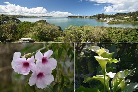 Photo of property in 14 Moana Road, Tinopai, 0593