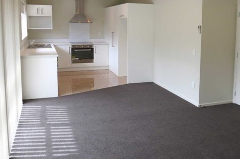 Photo of property in 11b Percy Street, Phillipstown, Christchurch, 8011