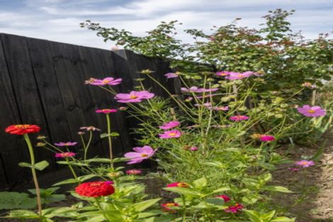 Photo of property in 6 Matau Close, Te Kauwhata, 3710