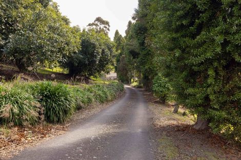 Photo of property in 289 Pahoia Road, Whakamarama, Tauranga, 3172