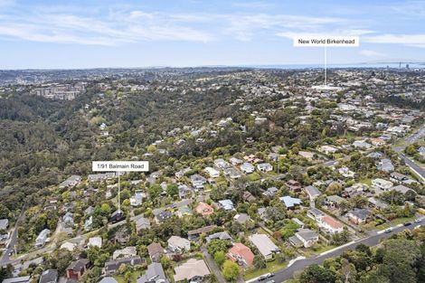 Photo of property in 1/91 Balmain Road, Birkenhead, Auckland, 0626