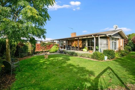 Photo of property in 35 Grosvenor Street, Cambridge, 3434