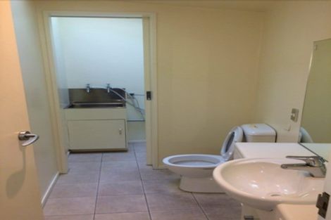 Photo of property in The Lofts, 52/185 Victoria Street, Te Aro, Wellington, 6011