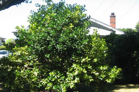 Photo of property in 15 Massey Crescent, St Albans, Christchurch, 8014