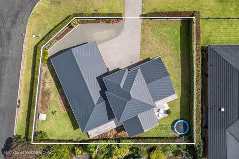 Photo of property in 226 Tanners Point Road, Tanners Point, Katikati, 3177