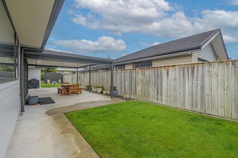 Photo of property in 42 Nancy Avenue, Feilding, 4702