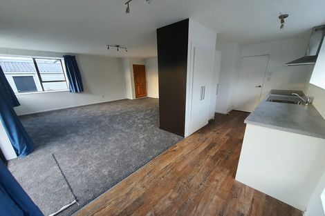 Photo of property in 46b Richill Street, Belfast, Christchurch, 8051