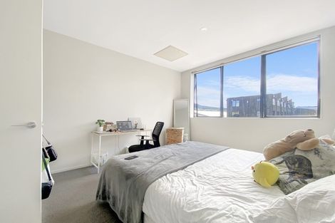 Photo of property in Aniva Terrace, 14 Arney Street, Newtown, Wellington, 6021