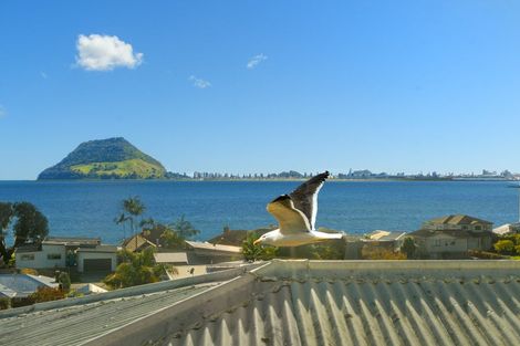 Photo of property in 10 Acklam Avenue, Otumoetai, Tauranga, 3110