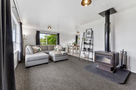 Photo of property in 37 Fraser Drive, Feilding, 4702