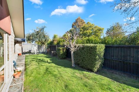 Photo of property in 20 Oxford Road, Rangiora, 7400