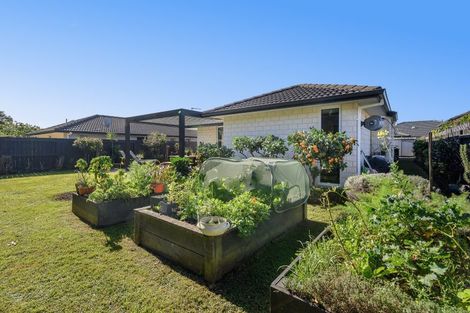 Photo of property in 15 Hansard Place, Bethlehem, Tauranga, 3110