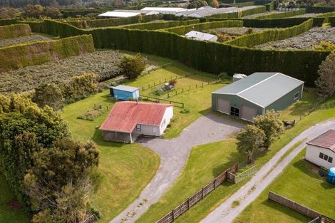 Photo of property in 856b Oropi Road, Oropi, Tauranga, 3173