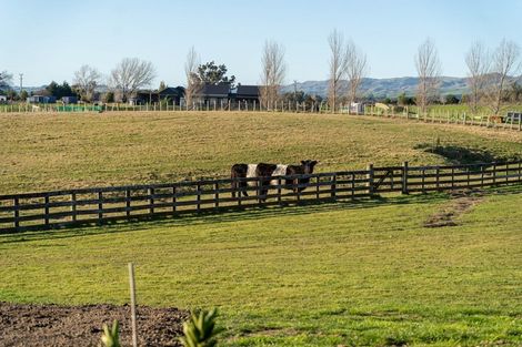 Photo of property in 24 Fraters Road, Martinborough, 5781