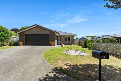 Photo of property in 12 Tamihana Street, Otaki, 5512