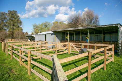 Photo of property in 369 Hautapu Road, Tamahere, Hamilton, 3283