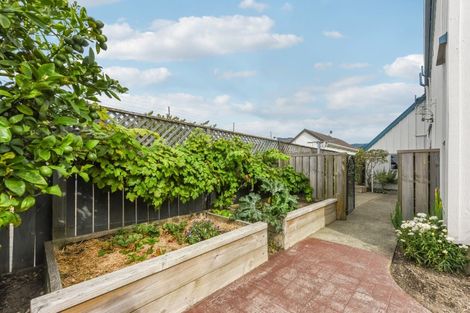 Photo of property in 2 Helena Way, The Wood, Nelson, 7010