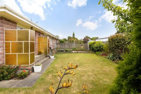 Photo of property in 44a-b Leefield Street, Blenheim, 7201