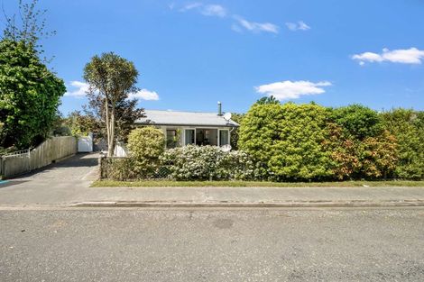 Photo of property in 50b Sidey Quay, Kaiapoi, 7630