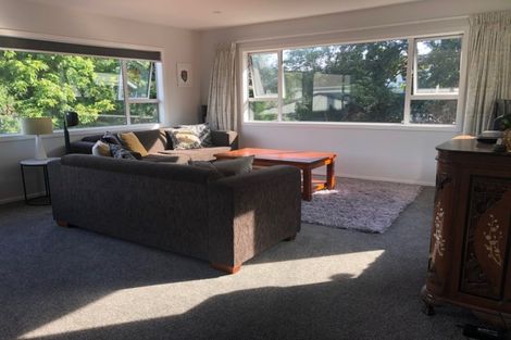 Photo of property in 49 Tukuka Street, Nelson South, Nelson, 7010