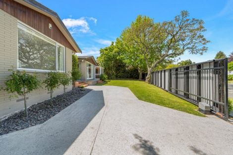 Photo of property in 50 Bernard Street, Chedworth, Hamilton, 3210