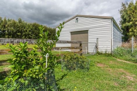 Photo of property in 290 Heatherlea Road East, Levin, 5571