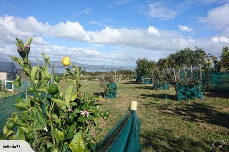 Photo of property in 420 Phillips Road, Raglan, Te Mata, 3894