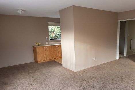 Photo of property in 444a Barrington Street, Spreydon, Christchurch, 8024